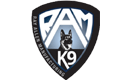 Ray Allen Logo