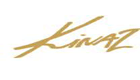 Kinaz Logo