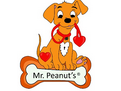Mr. Peanuts Premium Products Logo