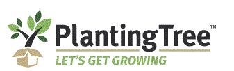 Planting Tree Logo