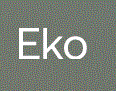 Eko Health Logo