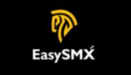 Easy SMX Logo