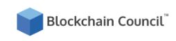 Blockchain council Logo