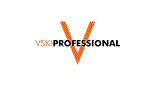 VSKI Professional Logo