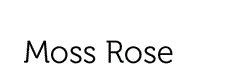 Moss Rose Logo