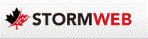 Storm Web Logo
