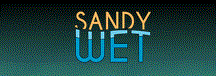 Sandy Wet Logo