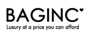 Baginc Logo