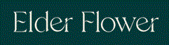Elder Flower Logo