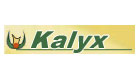 Kalyx Logo