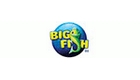 Big Fish Logo