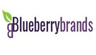 Blueberry Brands Logo