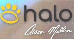 Halo Collar Logo