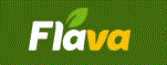 Flava Logo