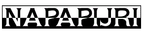 Napapijri DE Logo