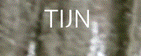TIJN Logo