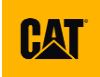 Cat BR Logo