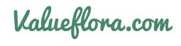 Value Flora Logo