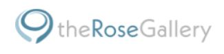 The Rose Gallery Logo
