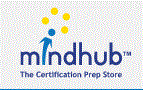 Mindhub Logo