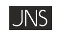 JNS Logo