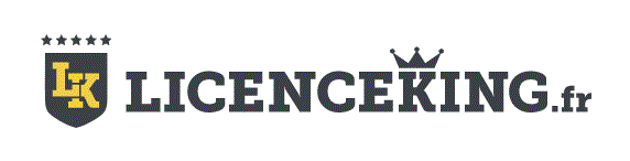 Licenceking Logo