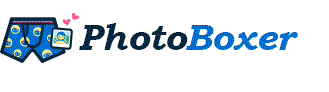 photo Boxer Logo