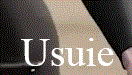 USUIE Logo