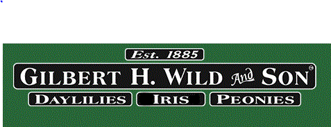 Gilbert H Wild Discount