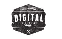 Digital Colors Presets Logo
