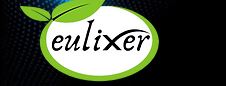 Eulixer Logo