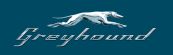 Greyhound Logo