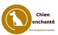 Chien enchante Discount