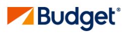 Budget AT Logo