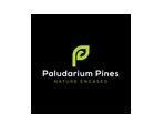 Paludarium Pines Discount