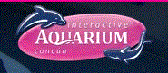 Interactive Aquarium Logo