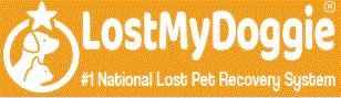 Lost My Doggie Promo