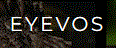 Eyevos Logo