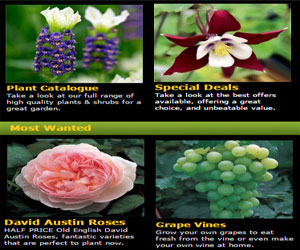 Gardening Express Promo