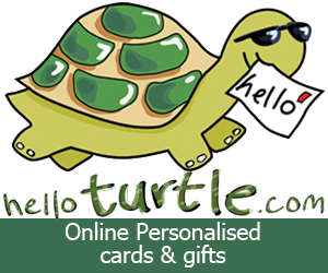 Hello Turtle Promo