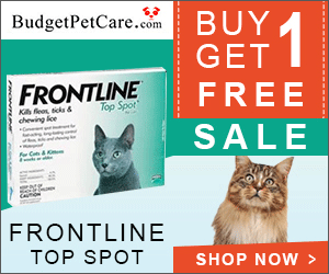Budget Pet Care Promo