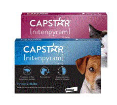 Best Vet Care Promo
