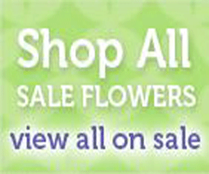 From You Flowers Promo