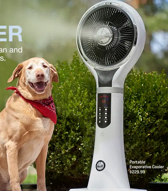 Sharper Image Promo