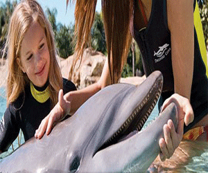 SeaWorld Parks Promo