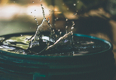 Water Butts Direct Promo