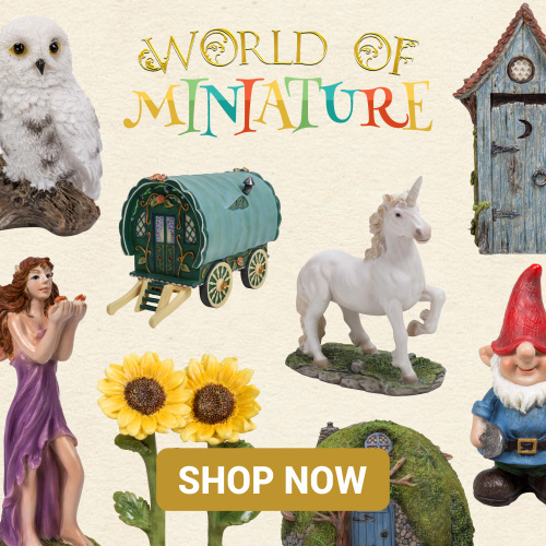 World of Miniature Promo