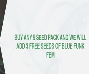 Sensible Seeds Promo
