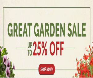 Great Little Garden Promo