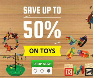 Parrot Essentials Promo